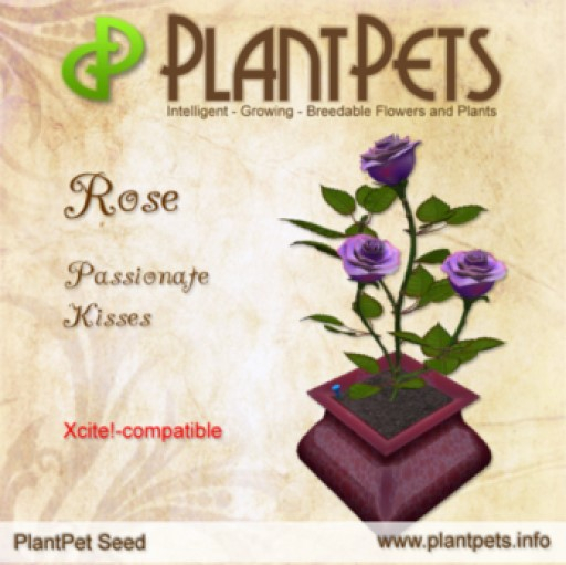 PlantPet Seed [Rose *Passionate Kisses*]