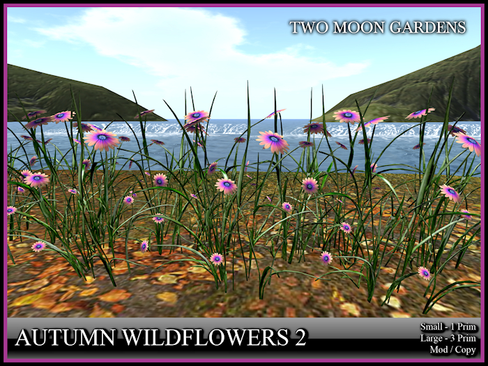Autumn Flowers 2