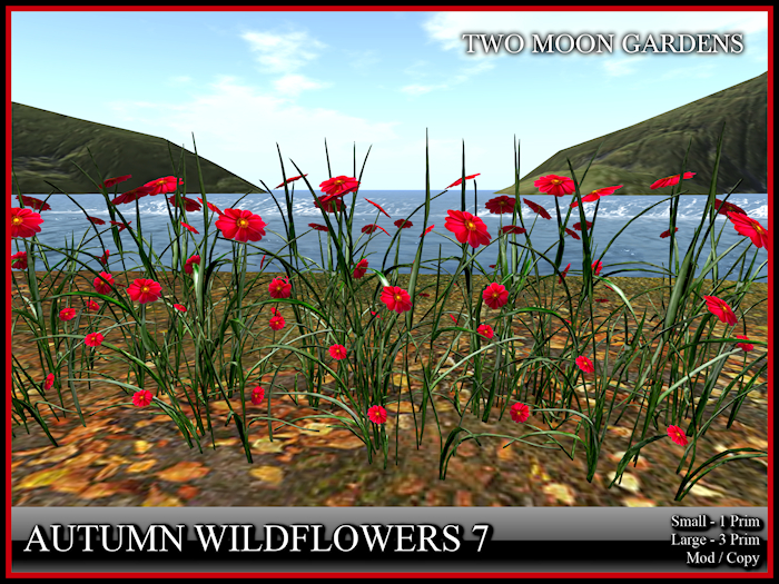 Autumn Flowers 7