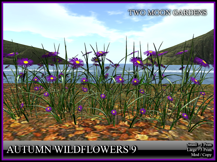 Autumn Flowers 9