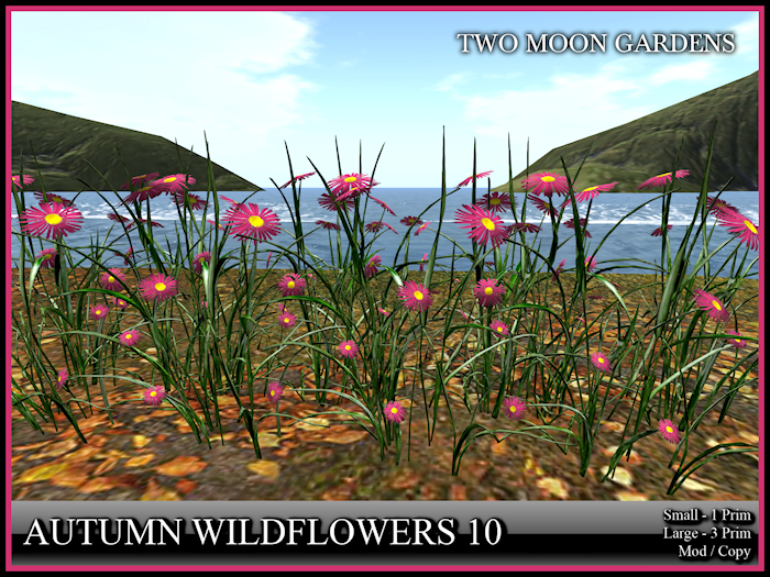 Autumn Flowers 10