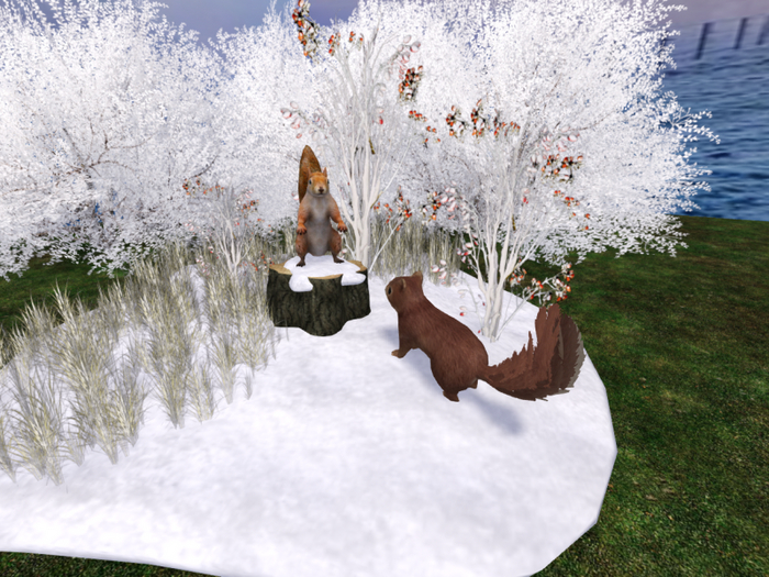 Squirrel on Trunk - Winter