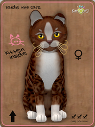 KittyCatS Box - Genesis - Ginger II