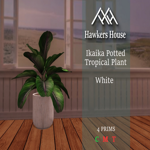 *HH* Ikaika Potted Tropical Plant White