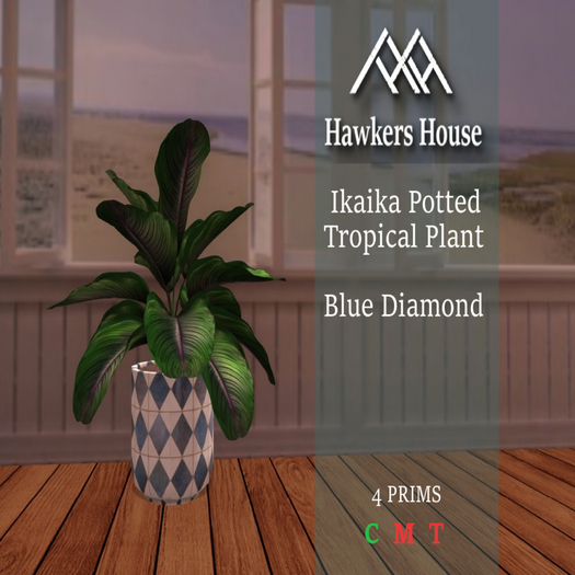 *HH* Ikaika Potted Tropical Plant Blue Diamond