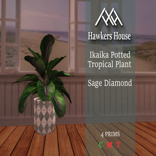 *HH* Ikaika Potted Tropical Plant Sage Diamond