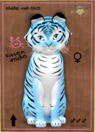 KittyCatS Box - Tiger! - Powder Blue