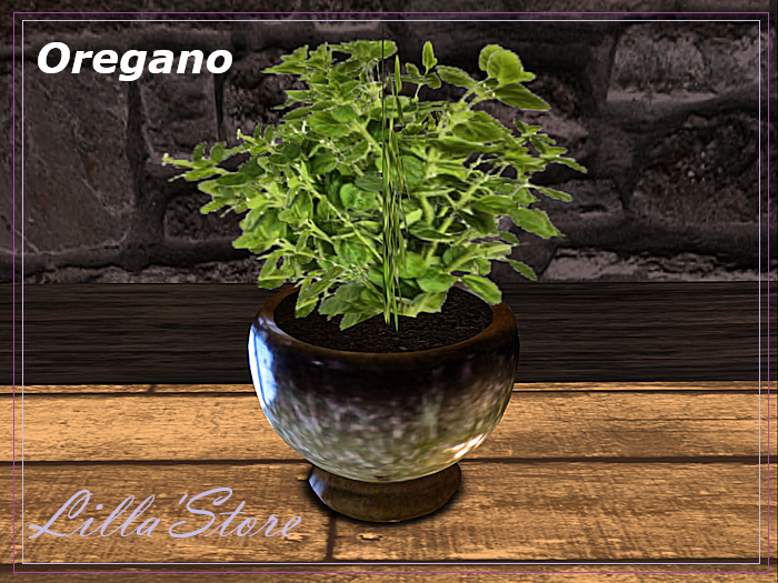 Oregano Plant Decor *Lilla'Store*