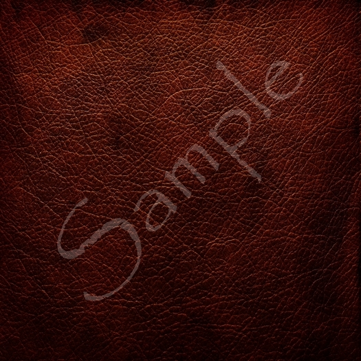 Cuir 2.4 TOUTES PERMISSIONS