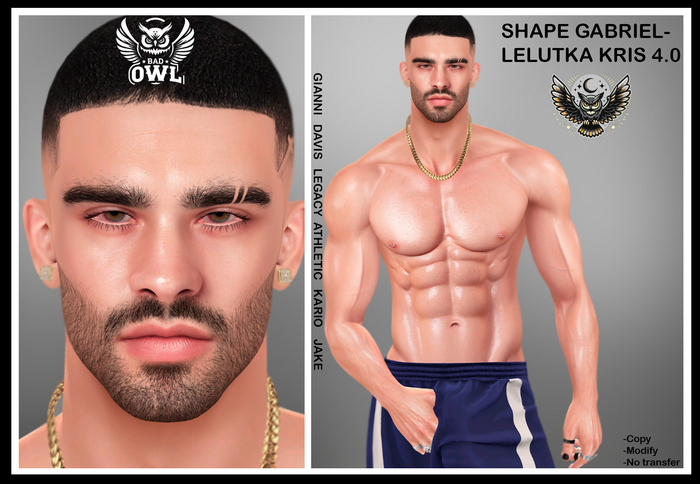 SHAPE GABRIEL-LELUTKA KRIS 4.0