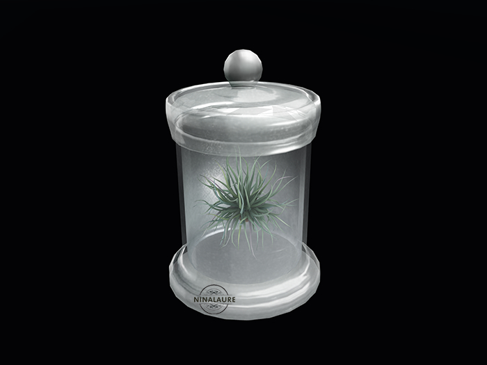 ROIRO | L'annulaire | SB Airplants (T)