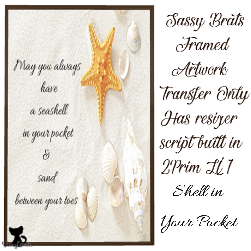 Shell in Your Pocket 