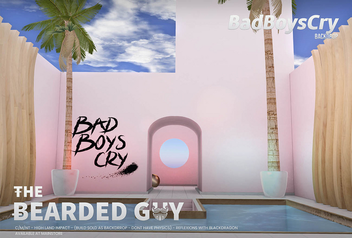 Bad Boys Cry Backdrop - The Bearded Guy