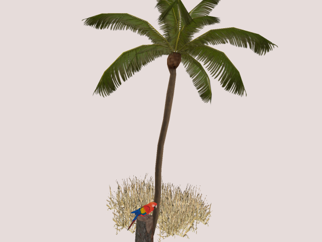 Palm Tree With Parrot :))))