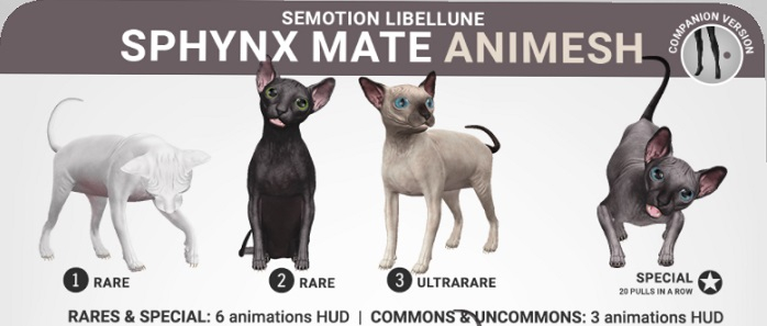 SEmotion Libellune Sphynx Mate Animesh RARE 01