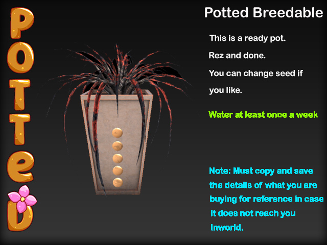 Potted ~ LE Deco Spider Plant Pot - Ash