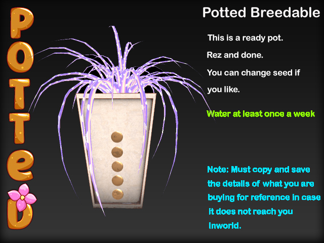 Potted ~ LE Deco Spider Plant Pot - White