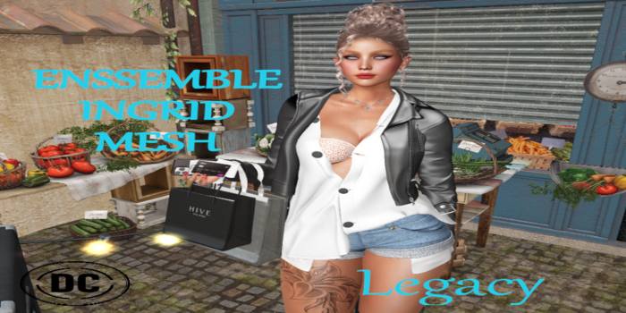 ** DC ** ENSSEMBLE INGRID MESH - Legacy_"UNPACKER /HUD"