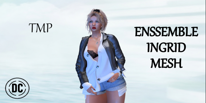** DC ** ENSSEMBLE INGRID MESH - TMP_"UNPACKER /HUD"