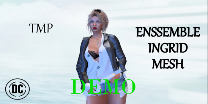 ** DC ** ENSSEMBLE INGRID MESH - TMP- demo_"UNPACKER /HUD"