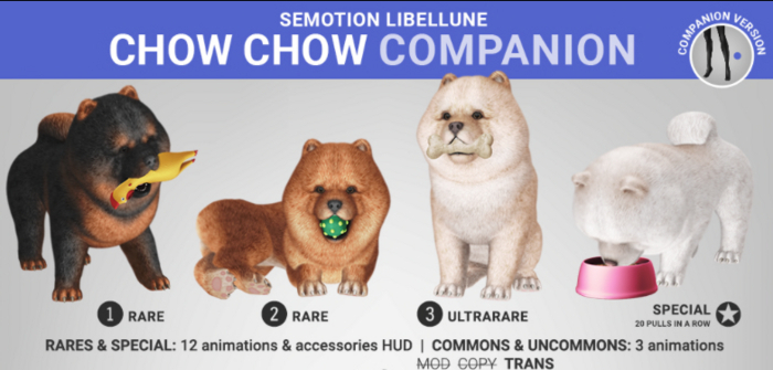 SEmotion Libellune Chow Chow Companion ULTRARARE 03