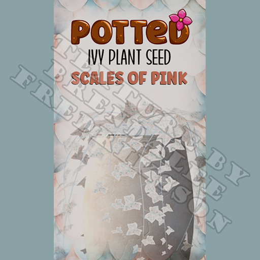 Potted: Ivy Plant Seed: Scales of Pink (ACTUAL PLANT SEED)