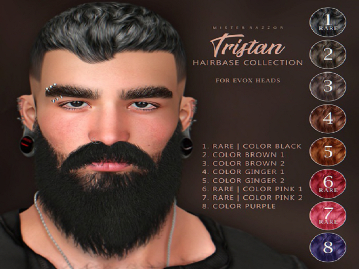 1. MR Tristan Hairbase RARE