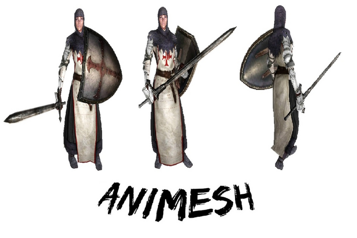 Medieval Femal Templar Knight - Animesh - Li 23