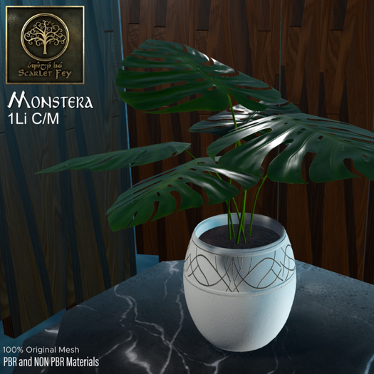 SF:: Monstera 