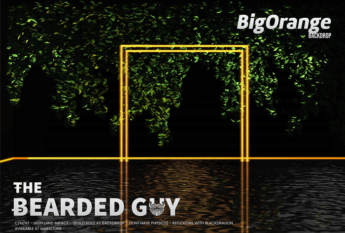 Big Orange Backdrop - The Bearded Guy