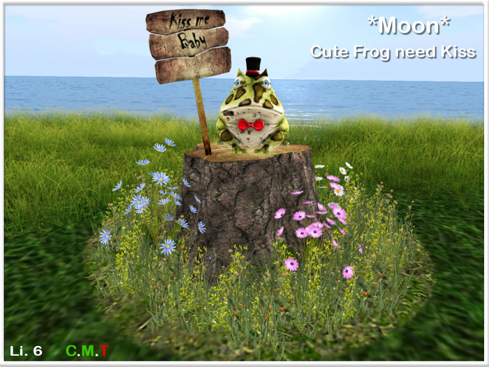 *Moon*Cute Frog need Kiss