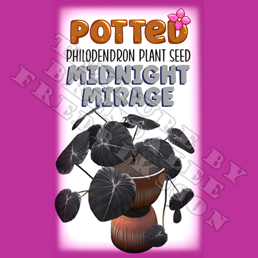 Potted: Philodendron Plant Seed: Midnight Mirage (ACTUAL PLANT SEED) - Retired!