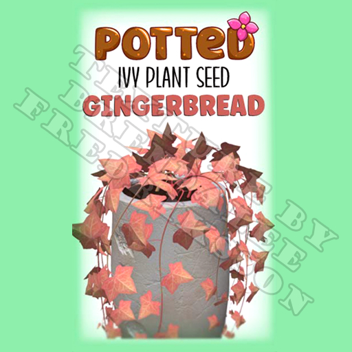 Potted: Ivy Plant Seed: Gingerbread (ACTUAL PLANT SEED) - Retired!