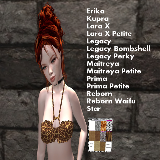 (GGD) DEMO-Top 2-Animal