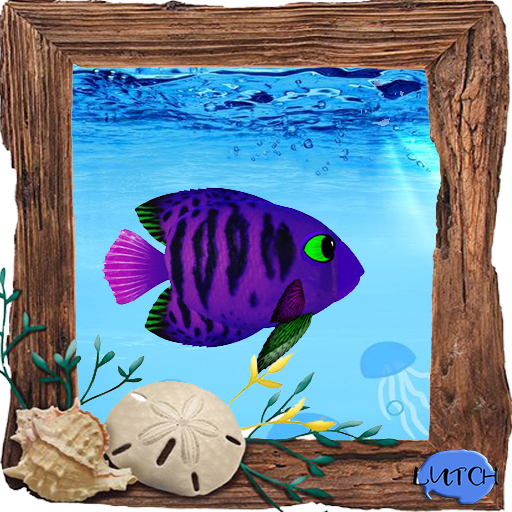 (7S) Rare Fish: Papa Flame Angel Violet