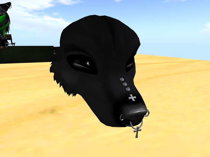 (SG) Husky Piercing gift box