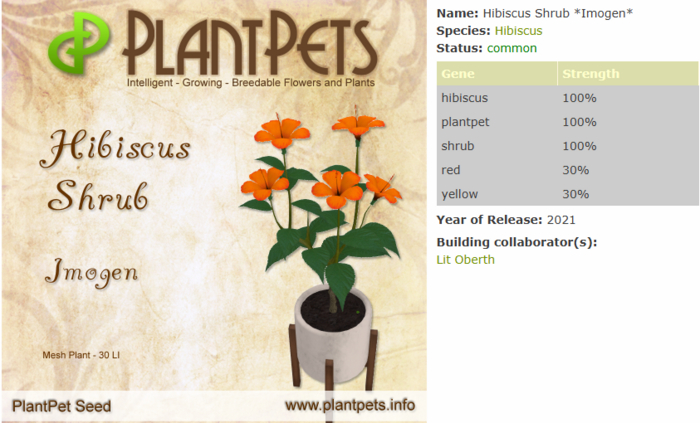 PlantPet Seed [Hibiscus Shrub *Imogen*]