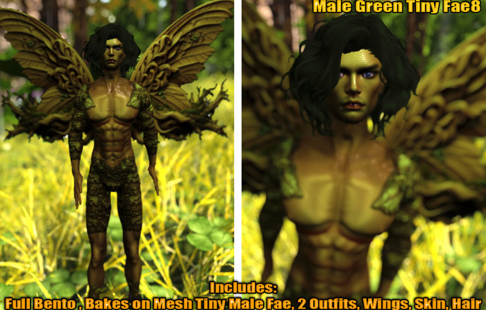 Male Green TinyFae8