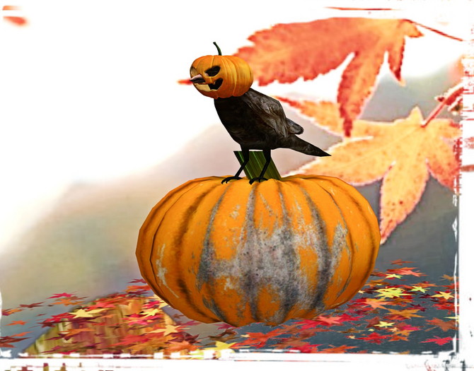 Halloween crow with pumpkin mask