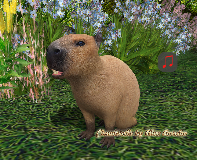 15. Mutresse-Chill Capybaras