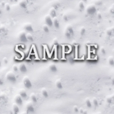 Zoy Texture [ Snowy Surface Seamless 01 ] A