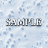 Zoy Texture [ Snowy Surface Seamless 01 ] E