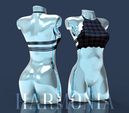 LaraX