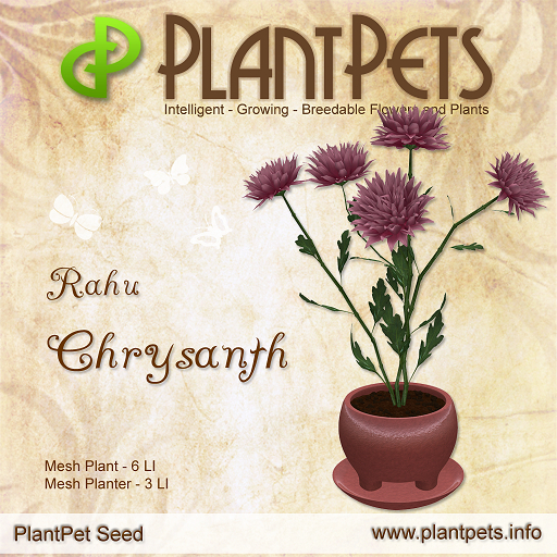 PlantPet Seed [Chrysanth *Rahu*]