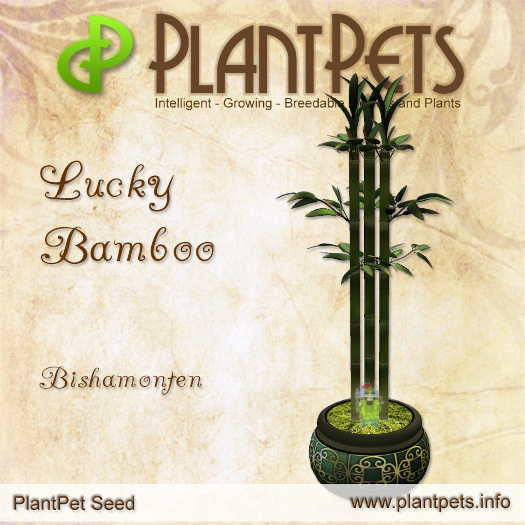 PlantPet Seed [Lucky Bamboo *Bishamonten*]