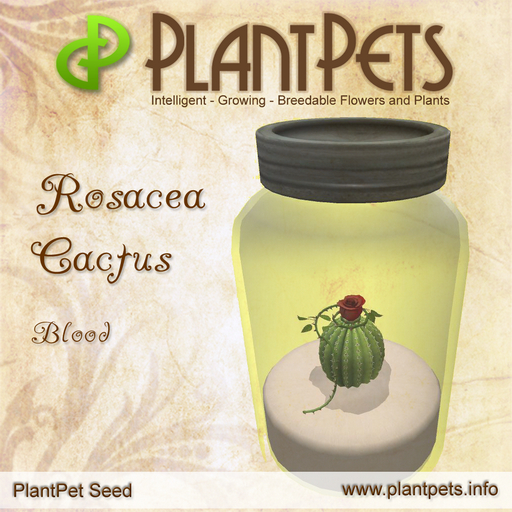 PlantPet Seed [Rosacea Cactus *Blood*]