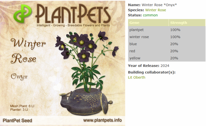 PlantPet Seed [Winter Rose *Onyx*]