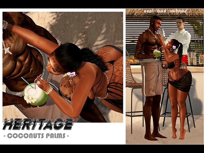 HERITAGE - COCONUTS PALMS