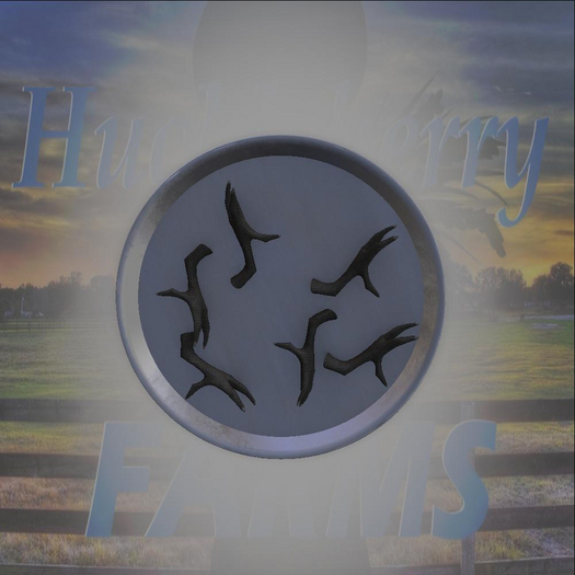 DFS HW Raven Claws (4)
