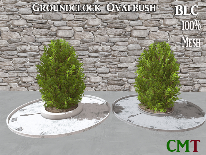 BLC ground Clock Ovalbush
